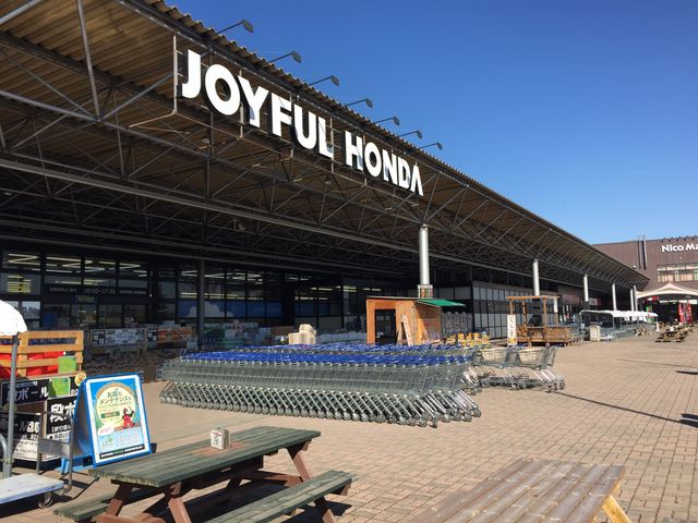 ジョイフル本田　新田店